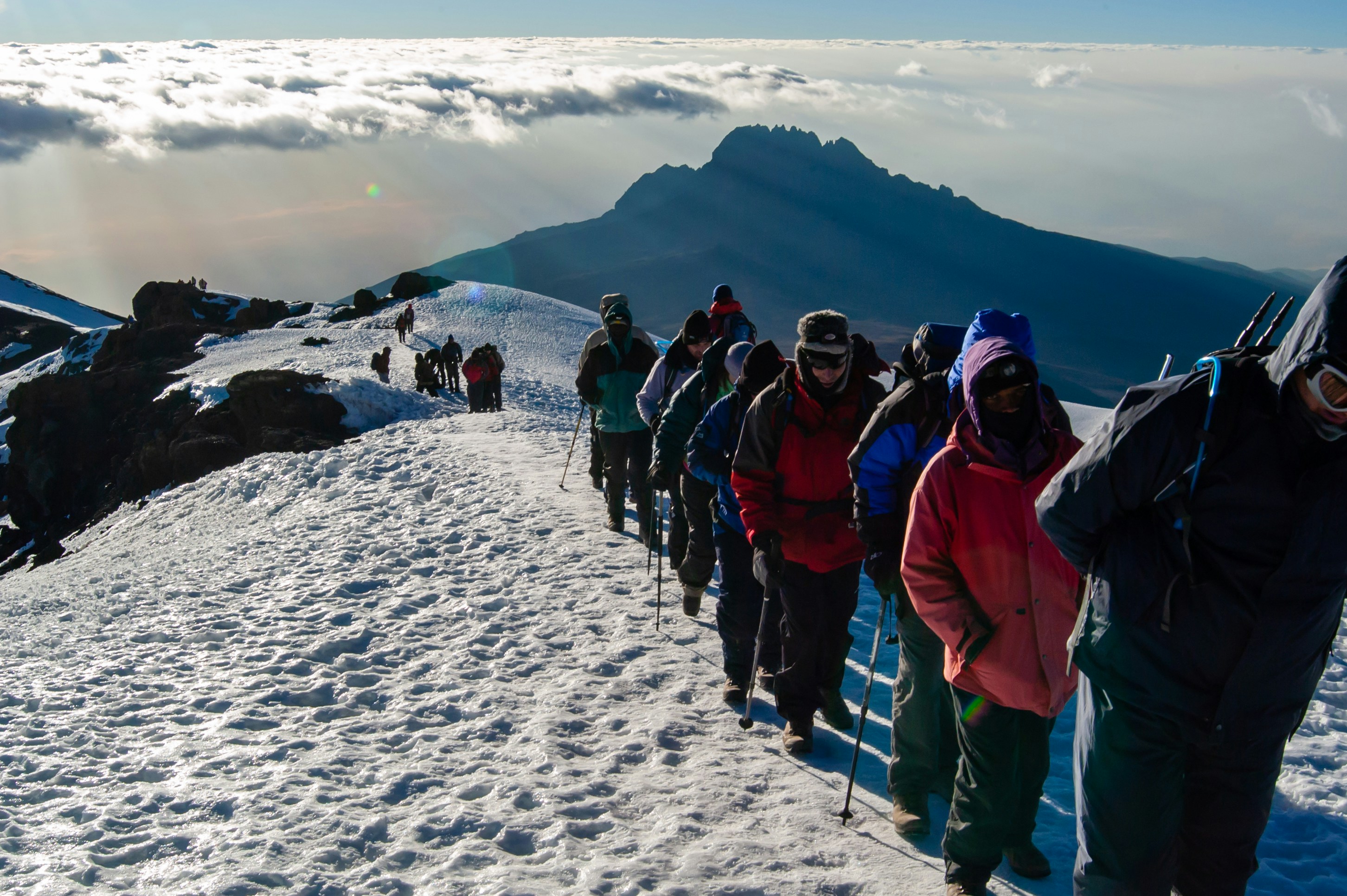 Marangu Route rainforest trail Kilimanjaro