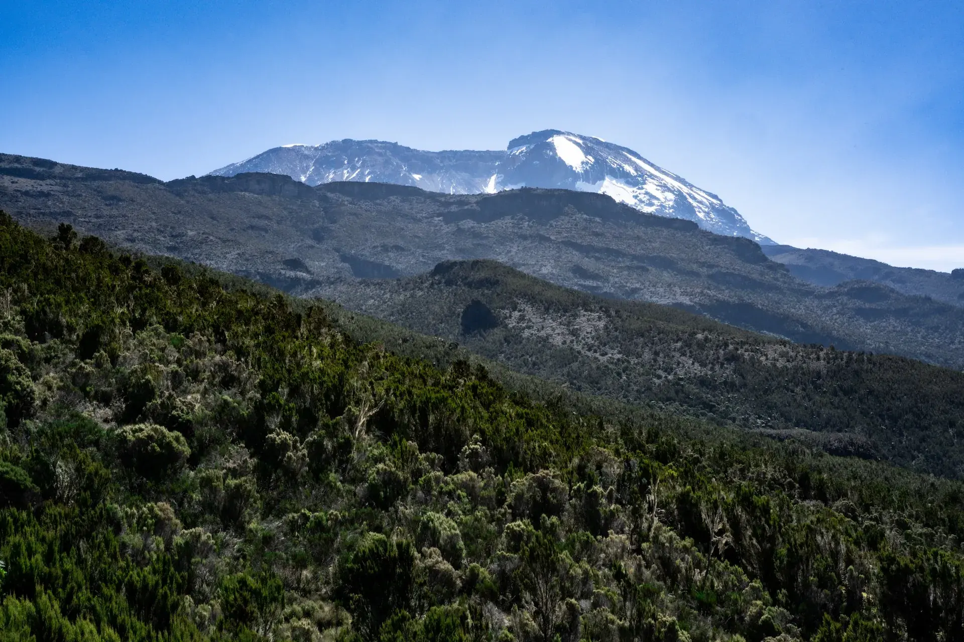Heath and moorland zone approaching Shira Plateau