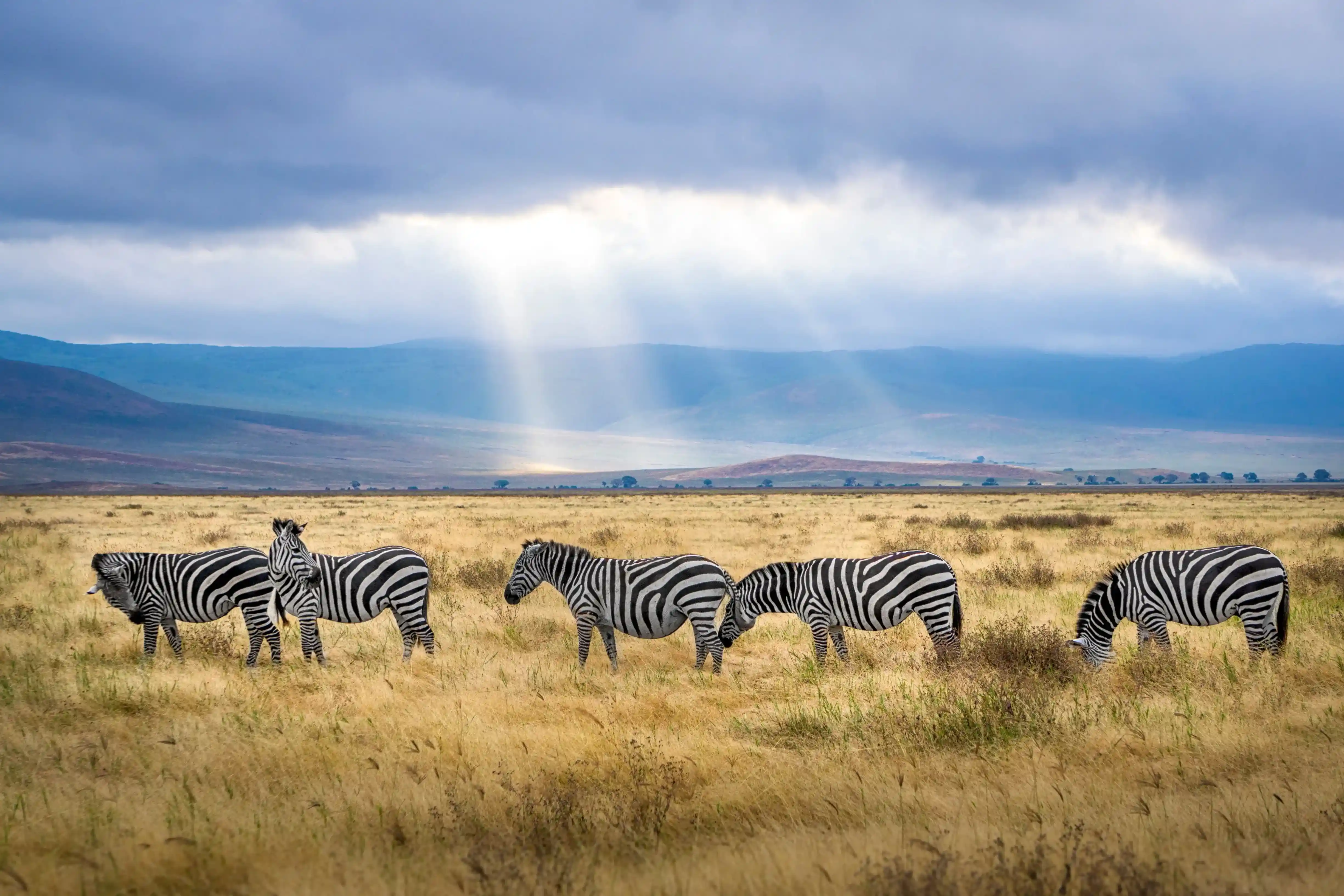 Ngorongoro Rim Lodge