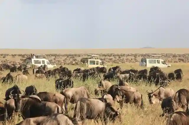 Serengeti Eco-Camp