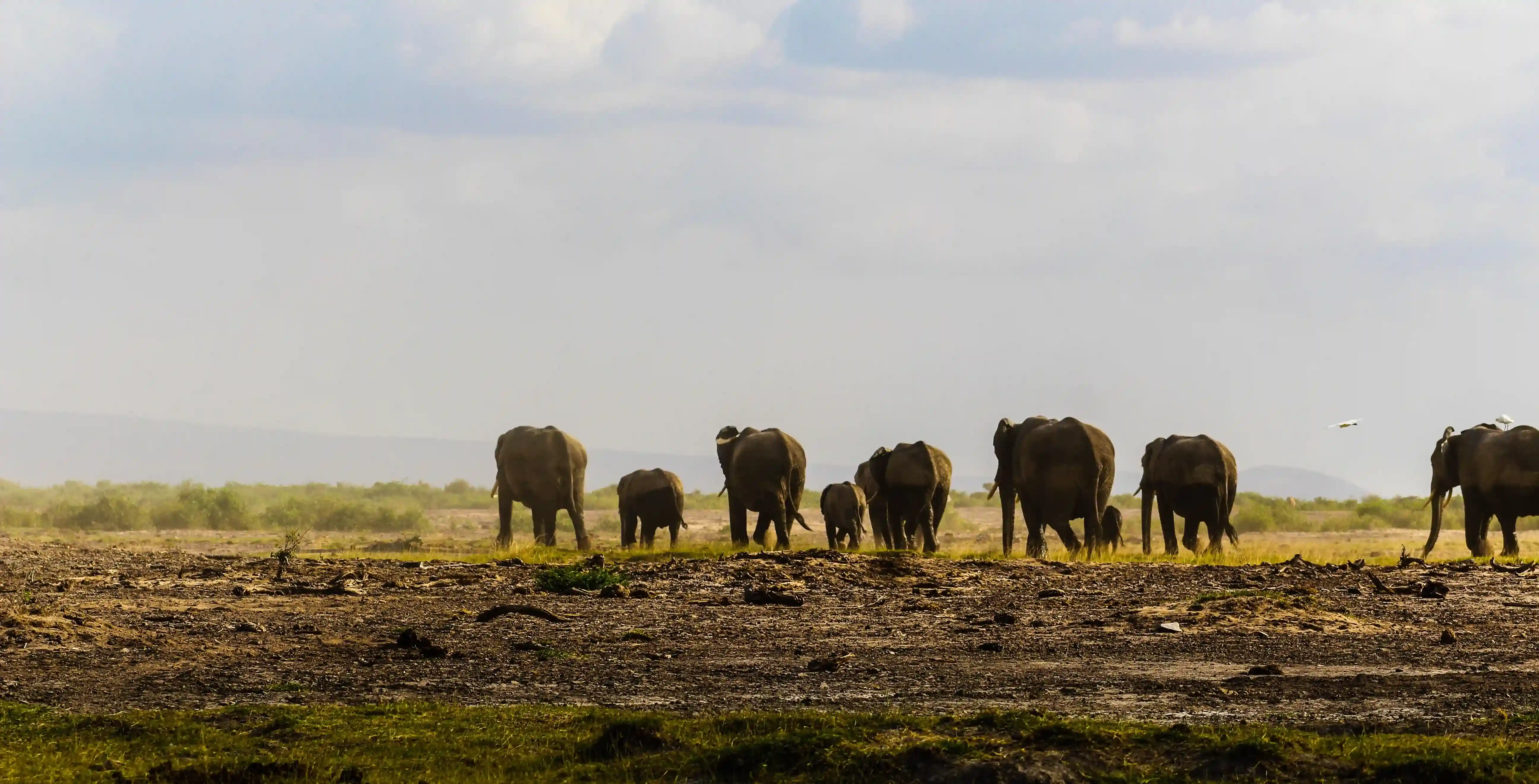 Serengeti Serengeti Explorer Camp