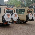 Tanzania Safari Cost Guide