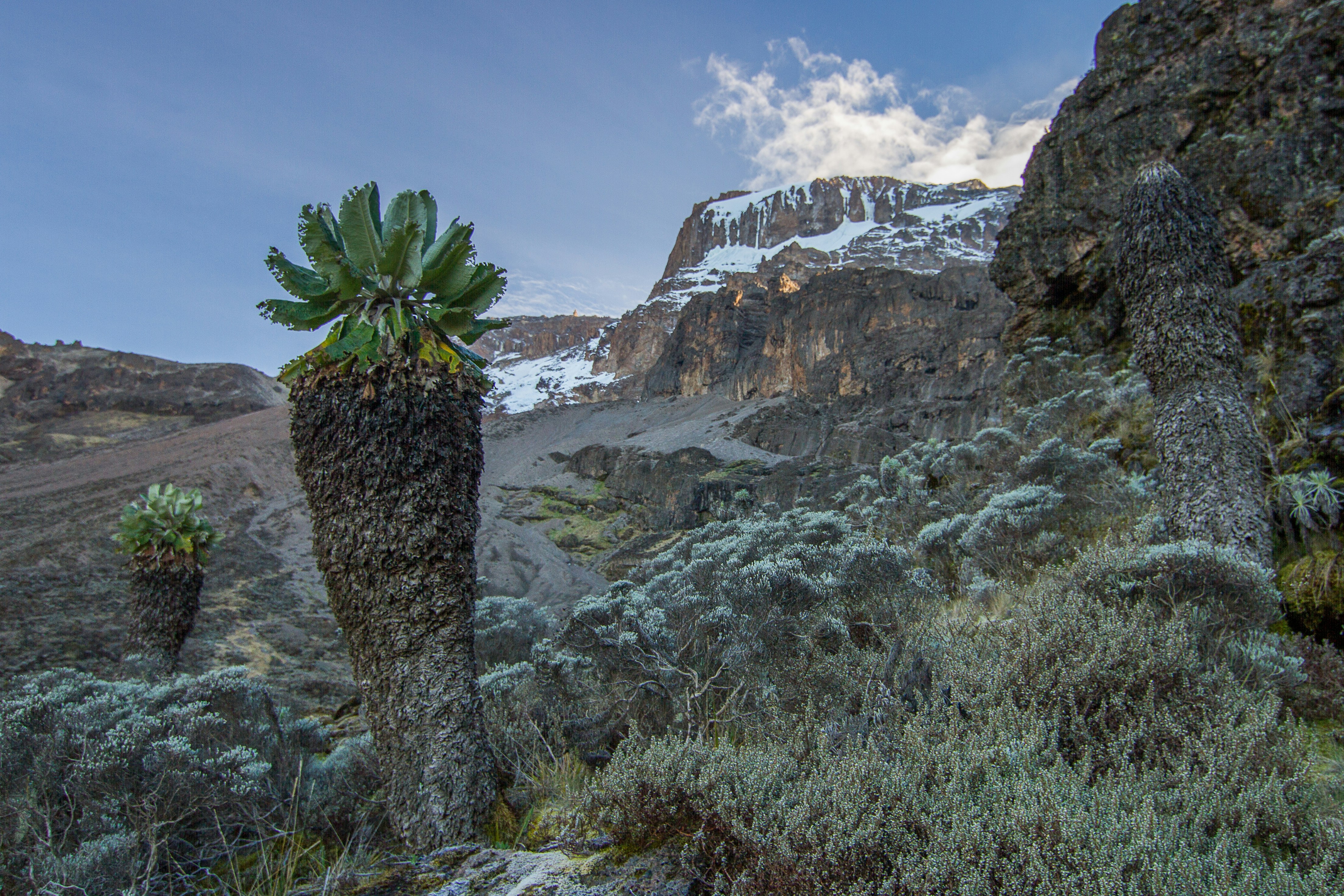 Mt. Meru Trek Tanzania