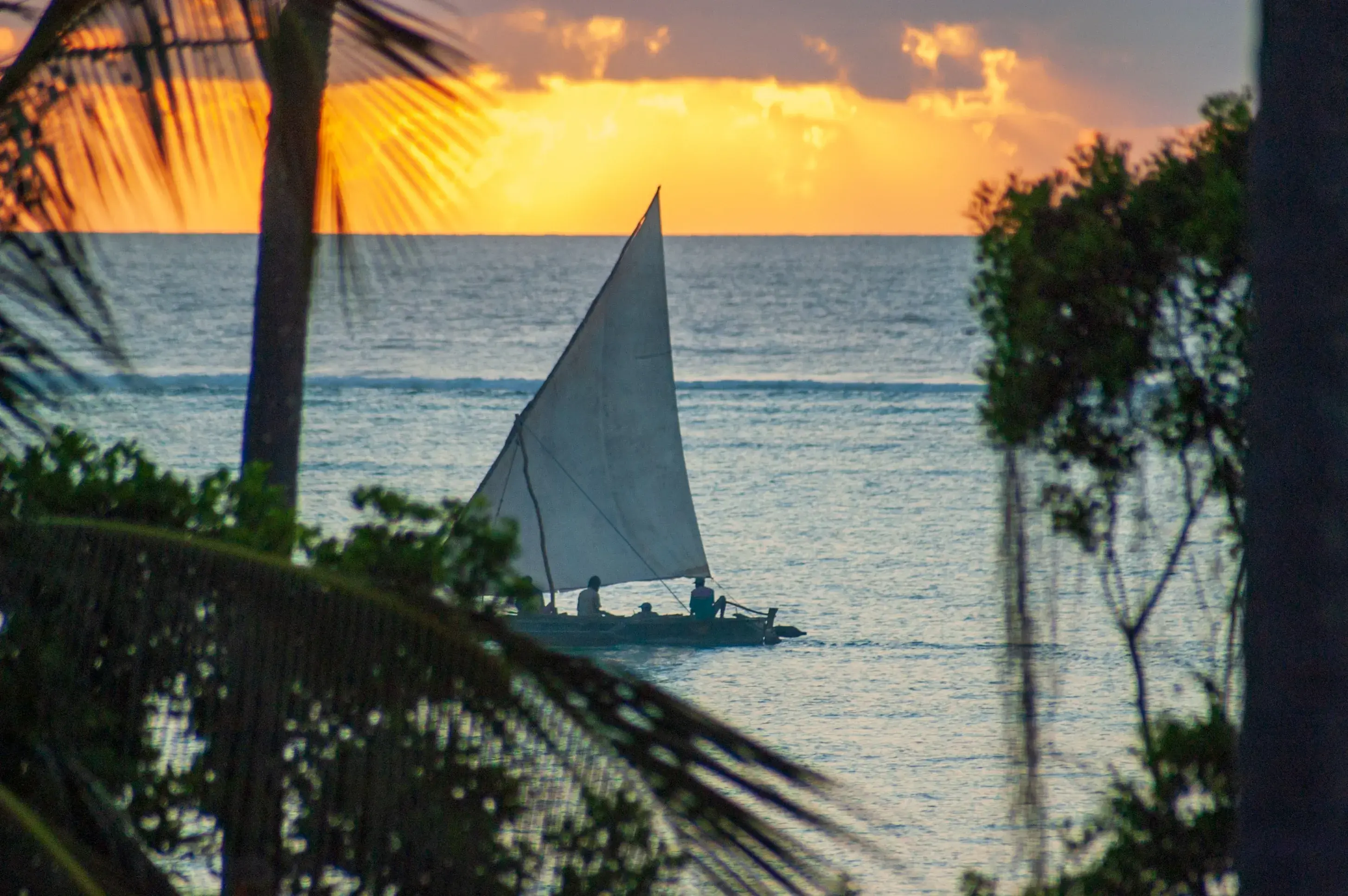 Safari and Zanzibar package